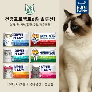 동원 뉴트리플랜 건강프로젝트 (면역/장건강/체중조절/관절/구강/피부&모질) 6종 160g 24캔