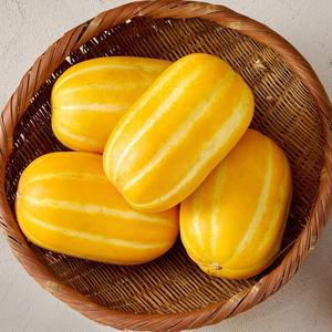 성주 꿀참외 10kg 가정용 랜덤과