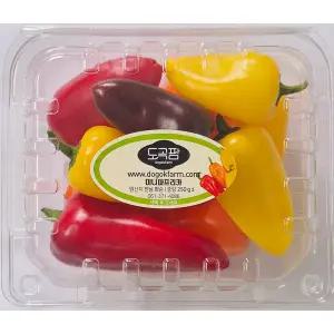 도곡팜 국내산 꼬마 미니 파프리카 1팩 250g