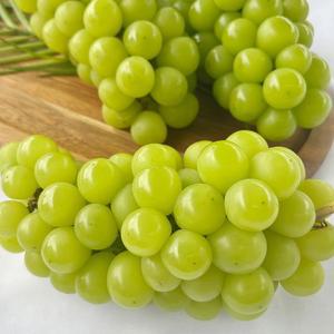 맛 좋은 포도 고당도 샤인머스켓 2kg