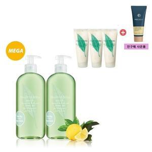 [엘리자베스아덴](의정부점)[더블]그린티 샤워젤 메가 사이즈(500ml) 스페셜_그린티 바디크림 추가