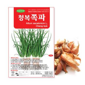 2025년 채종 국산 쪽파씨앗 400g 쪽파종자 예천쪽파 종자관리사 보증