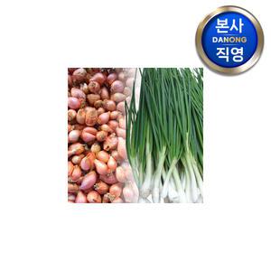쪽파 종구 (씨앗) 500g . 야채 채소 텃밭 파종 재배 주말 농장 씨 종자