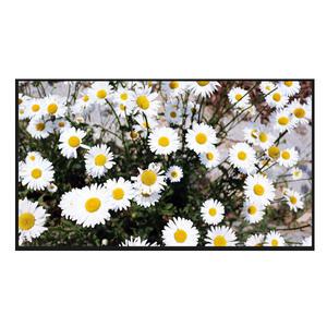 LG전자 OLED65B4ENA 65인치 각도조절 벽걸이 4K UHD OLED TV 전국추가비용없음 국민전자
