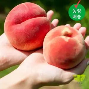 새콤달콤 백도 털복숭아 2kg(대과) 5-7과내외