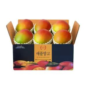 제주도 애플망고 백화점 식품관 생망고 특상품 가정용 2kg