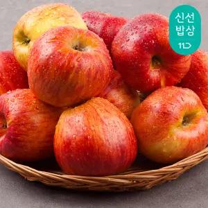 [품질보장] 경북 청정산지 수확! 아삭한 빨간 홍로사과 2kg (한입)