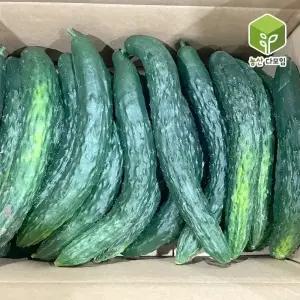 국내산 못난이 취청 가시오이 보통 10kg