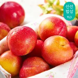 [품질보장] 경북 햇 왕자두 2kg 22과내외