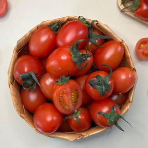 국내산 대추 방울토마토 로얄과 3kg