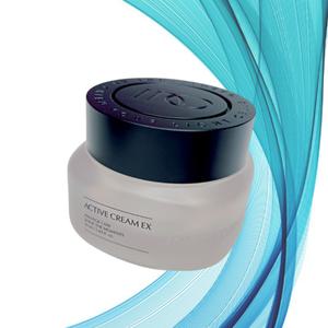 인셀덤 크림 엑티브 크림 EX 주름개선 50ml 1개