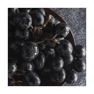 새콤달콤 고당도 켐벨 캠벨포도 제철 머루포도 1kg 2kg