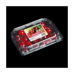 태방파텍 공식쇼핑몰TB-406-3N (체리300g_사각)과일 야채 채소 포장재 필름 봉투 용기 PE OPP PET