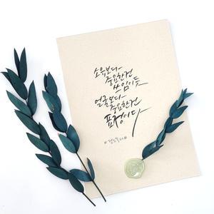 프리저브드 유칼립투스 청첩장 선물 포장 드라이 플라워 (10개)