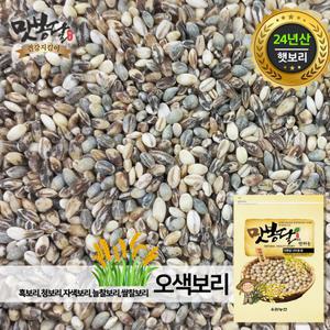 오색보리쌀 흑보리 자색보리 청보리 늘찰보리 쌀찰보리 국내산 4kg