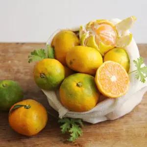 갓 수확한 새콤달콤 제주 하우스 감귤 2kg(L~2L)