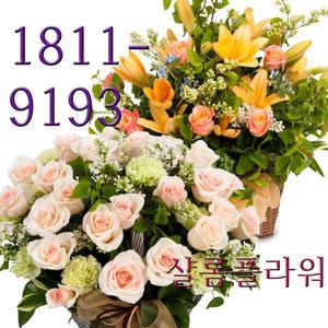 꽃바구니 꽃다발 축하/선물/기념일 전국 당일배송 무료배송