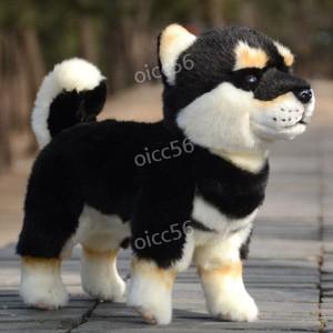 쿠로시바 봉제인형 블랙탄 시바견인형 애착인형 검은