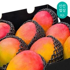 최상급 직수입 애플망고 4kg (8-12과)