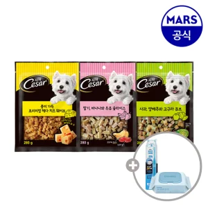 시저 프리미엄 간식 280gx2개 골라담기+애견칫솔+베베숲물티슈1팩