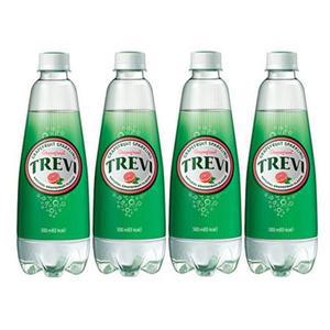 트레비 자몽 500ml 20펫_