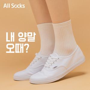 디자인/15가지색상/5족 베스트무지 양말세트