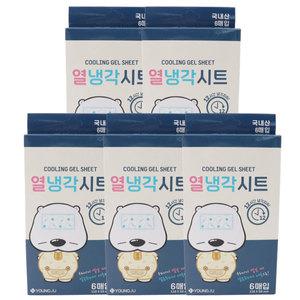 곰탱이 열냉각시트 6매 아동용 [5세트] 해열패치