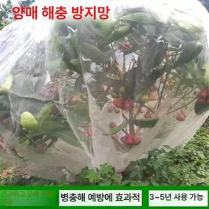 과일나무 방충 그물커버 머스코 09FQ25G 식물지지대 보온덮개 새그물 나무보호커버