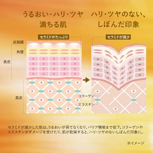 록시탄 LOCCITANE 이모텔 디바인텐시브오일 30mL화장품 화장품 스킨케어 프레 도입 오일 보습 하리 윤기 키