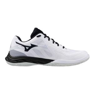 MIZUNO 미즈노 배드민턴 신발 상당 웨이브 팡 EL2 WAVE FANG 71GA2423 챔피언