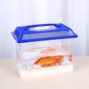 SPS 곤충 곤충채집통 관찰 수집통 중형 채집통 수집통 보관통 관상어수조관 곤충채집통