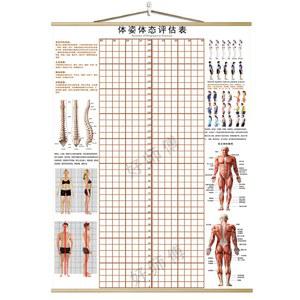 체형분석표 분석도 교정 측정 접착식 바디체크보드3type 보정 90x200 블랙