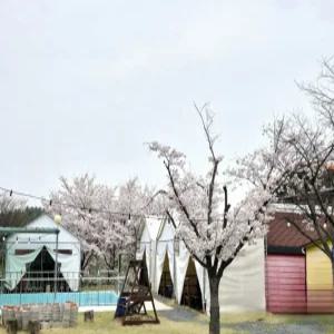[경북 펜션] 영천 솔롱고글램핑 (영천,청도)