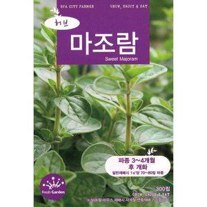 2025 씨앗 허브 마조람 (WFGUM10)