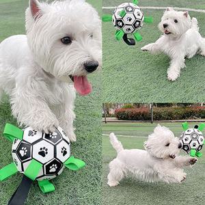 애견 강아지 고양이 공놀이 축구공 이갈이 분리불안 탱탱볼 캐치볼 장난감 노즈워크 터그 로프