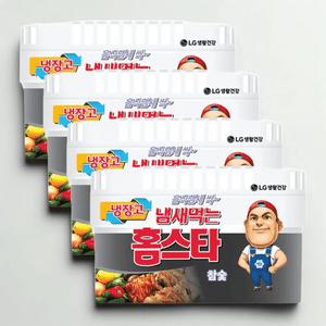 냄새먹는 홈스타 탈취제 냉장고용 참숯 (420g x 4개)
