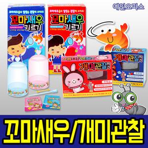 꼬마새우기르기/개미관찰/씨몽키/자연학습/관찰학습
