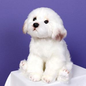 위더펫인형 말티즈인형 / 강아지인형 동물인형