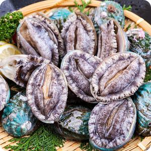 완도 활전복 40-47미 1kg(라면전복)