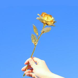 금꽃 선물 부모님 생신 금카네이션 골드장미 황금장미 어버이날