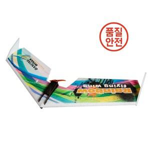 RC 춤추는 날개 취미 E0511 레인보우 플라잉 윙 V2 RC 비행기 800mm 길이 델타 테일 푸셔 항공기 키트