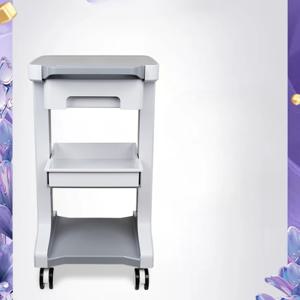 치과 및 구강 치료 카트 의료 미용실 악기 카트 모바일 트롤리 미용실 특정 배치 랙