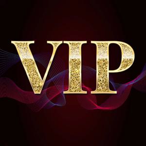 VIP 모크 사용자 정의