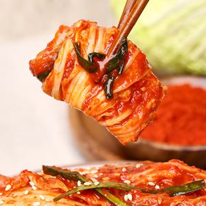 셰프애찬 알배기겉절이 2kg/팩