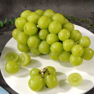국내산  산지직송 정품 샤인머스캣 2kg 4수