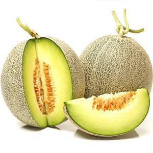 (신선집중) 머스크메론 국내산 메론 개당 1.2kg~1.5kg 내외 x 2수