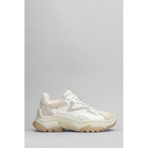 아쉬 스니커즈 413665 ADDICT03 Beige