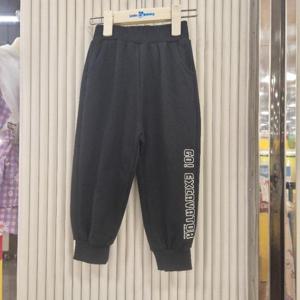 리틀밥독 HC22 붕붕더블 2 B253MWP10