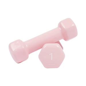 PVC 뷰티 육각 덤벨 1kg 코랄핑크 예쁜 여자 아령 헬스 홈트