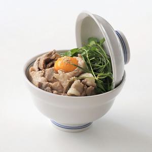 이부키 뚜껑 돈부리 세트 일본식 도자기 덮밥그릇